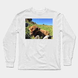 Scottish Highland Cattle Calf 1495 Long Sleeve T-Shirt